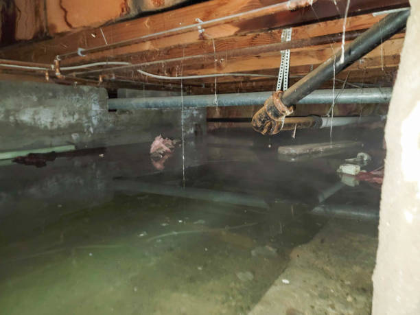 Best Basement water damage restoration  in Smithsburg, MD