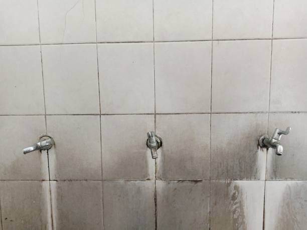 Best Sewage cleanup and water damage restoration  in Smithsburg, MD